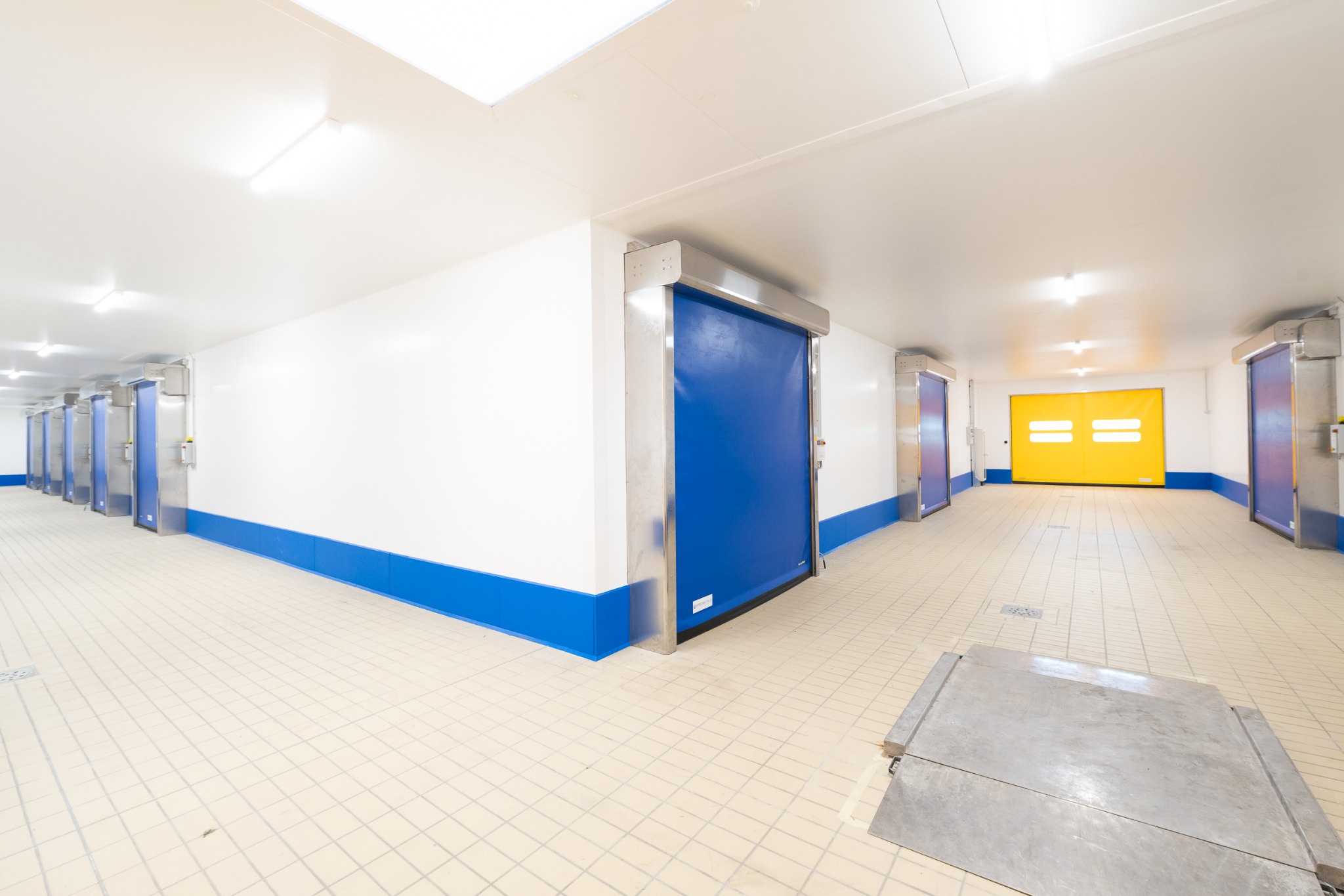 Porte rapide per ambienti alimentari